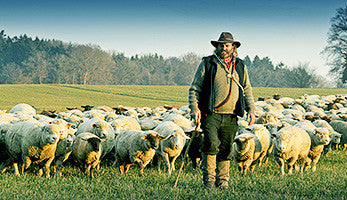 How I gain Instagram followers (Part 1)