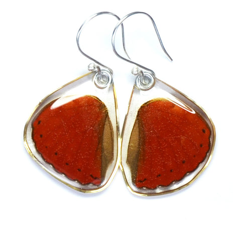 Butterfly earrings, Cymothoe Sangaris, bottom wings
