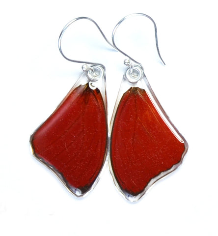 Butterfly earrings, Cymothoe Sangaris, top wings