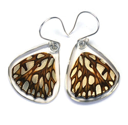 Butterfly earrings, Mexican Silverspot Butterfly, bottom wings