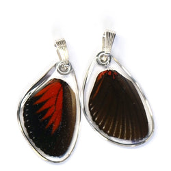 Butterfly wing pendant ONLY, Doris Longwing Butterfly, bottom wing