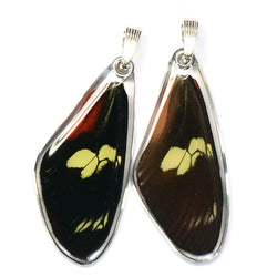 Butterfly wing pendant ONLY, Doris Longwing Butterfly, top wing