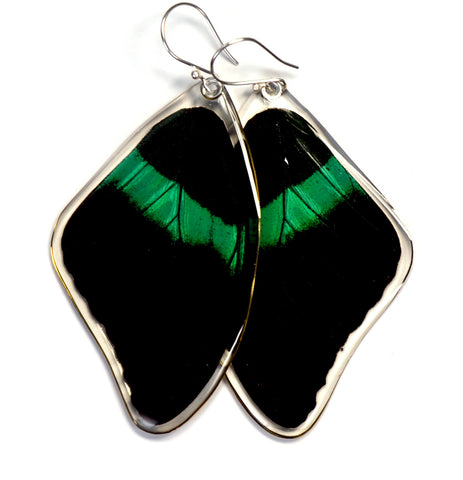 Butterfly earrings, Peacock Swallowtail Butterfly, top wings