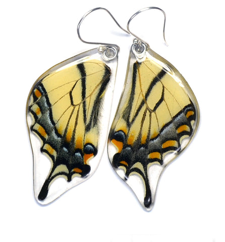 Butterfly earrings, Eastern Tiger Swallowtail Butterfly, bottom wings