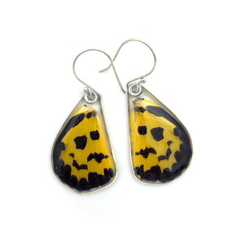 Butterfly earrings, False Tiger Butterfly, bottom wings