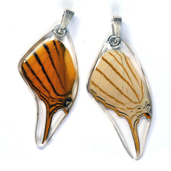 Butterfly Pendant Only, Orange Daggerwing, Bottom Wing
