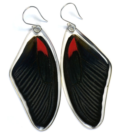 Butterfly Earrings, Scarlet Mormon, Top Wing