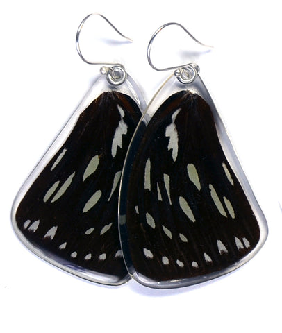 Butterfly Earrings, Forest Queen, Top Wing