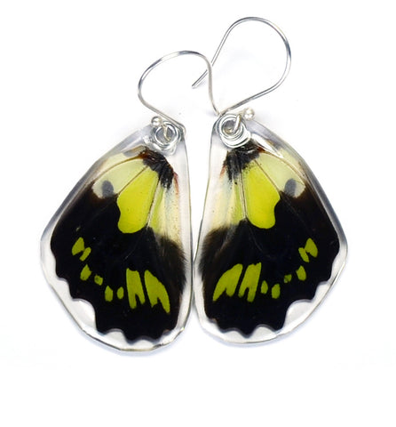 Butterfly Earrings, Green Malachite, Bottom Wing