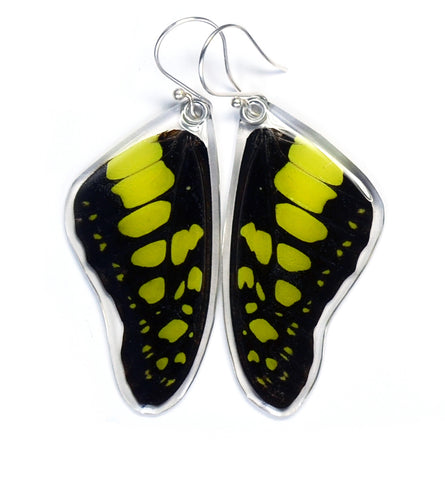 Butterfly Earrings, Green Malachite, Top Wing