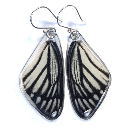 Butterfly Earrings, Painted Jezabel, Top Wing