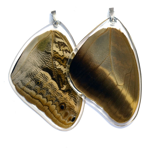 Butterfly Wing Pendant Only, Owl Butterfly, Top Wing