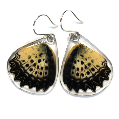Butterfly Earrings, Leopard Lacewing, Bottom Wing