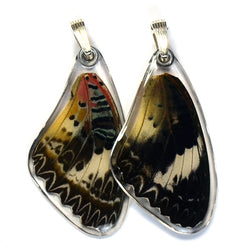 Butterfly Wing Pendant ONLY, Leopard Lacewing, Top Wing