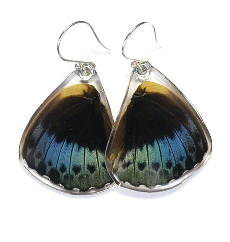 Butterfly Earrings, Archduke Butterfly, Bottom Wing