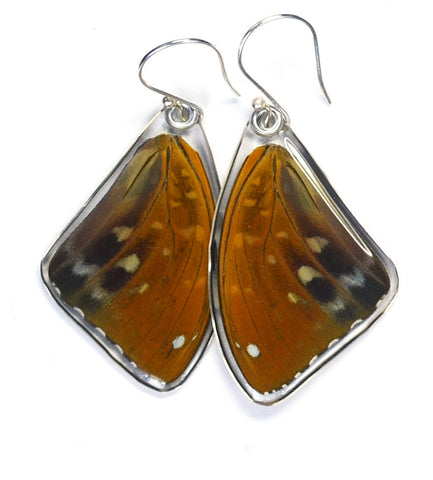 Butterfly Earrings, Archduke Butterfly, Top Wing