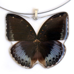 Whole Butterfly Pendant, Archduke Butterfly