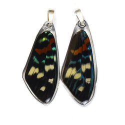Butterfly Wing Pendant Only, Day Flying Moth, Top Wing