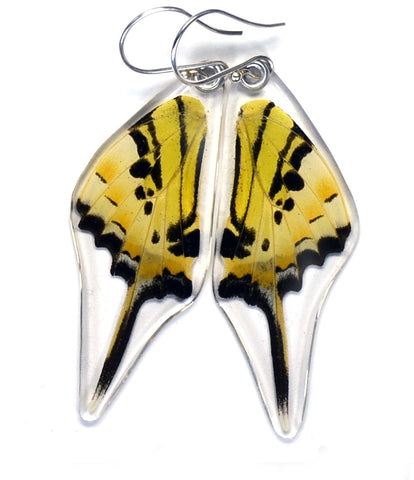 Butterfly Earrings, Five Bar Swallowtail, Bottom Wings