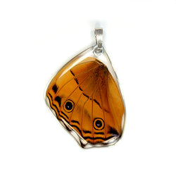 Butterfly Pendant Only, Cramer's Cruiser, Bottom Wing