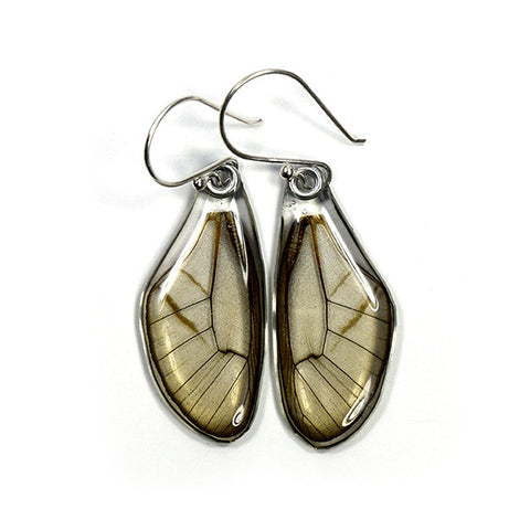 Butterfly earrings, Pink Glasswing Butterfly. top wings