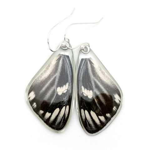 Butterfly earrings, Red Spot Jezebel Butterfly, top wings