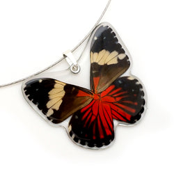 Whole Butterfly Pendant, Red Cracker Butterfly