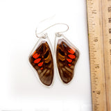 0591 Butterfly Wing Earrings, Red Spotted Graphium, top wings
