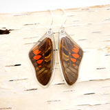 0591 Butterfly Wing Earrings, Red Spotted Graphium, top wings