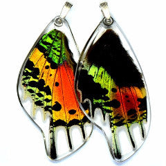 BU-0055-B-PE<BR>Butterfly wing pendant ONLY, Sunset butterfly, bottom wing