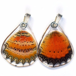 BU-0060-B-PE<BR>Butterfly wing pendant ONLY, Cethosia Biblis Biblis, bottom wing