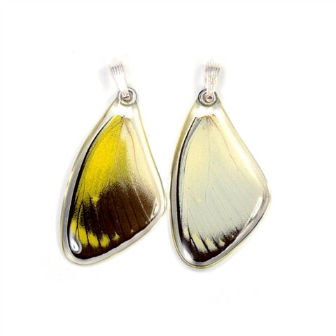 BU-0520-T-PE<BR>Butterfly Pendant Only, Red Delias Butterfly, Top Wing