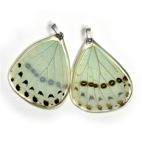 BU-0530-B-PE<BR>Butterfly wing pendant ONLY, Mint Morpho Butterfly, bottom wing