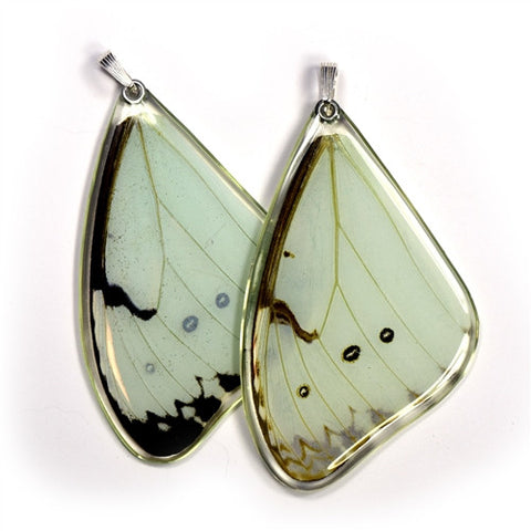 BU-0530-T-PE<BR>Butterfly wing pendant ONLY, Mint Morpho Butterfly, top wing