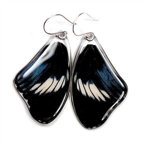 BU-0535-T-ER<BR>Butterfly earrings, Scarce Blue Diadem, top wings