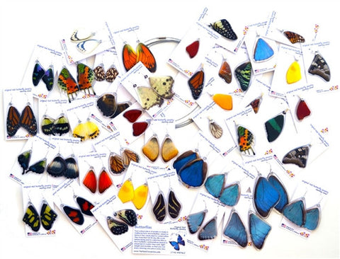 Butterflies Items Only $600