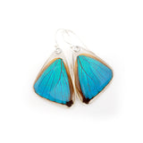 Butterfly earrings, Blue Morpho Aega, bottom wings