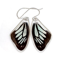 Butterfly earrings, Wanderer Butterfly, top wings