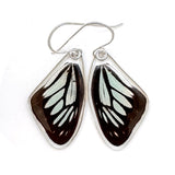 Butterfly earrings, Wanderer Butterfly, top wings