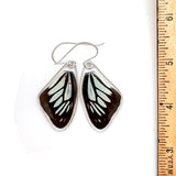 Butterfly earrings, Wanderer Butterfly, top wings