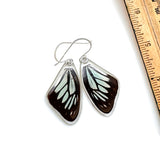 Butterfly earrings, Wanderer Butterfly, top wings