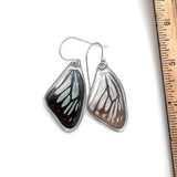 Butterfly earrings, Wanderer Butterfly, top wings