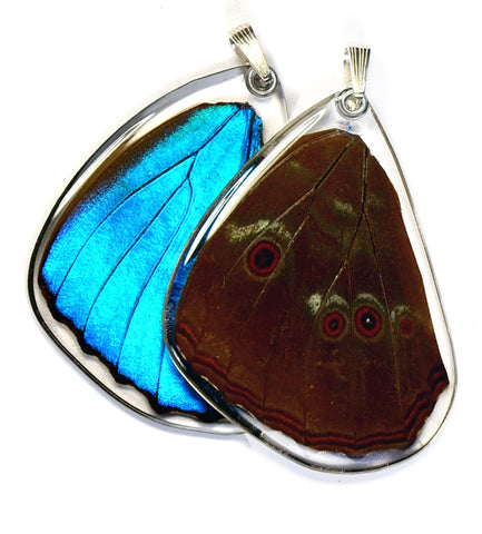 Butterfly wing pendant ONLY, Blue Morpho Menelaus Butterfly, bottom wing