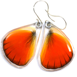 Butterfly earrings, Orange Albatross, bottom wings
