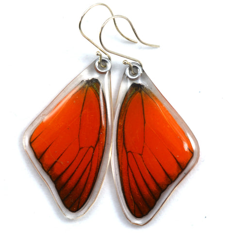 Butterfly earrings, Orange Albatross, top wings