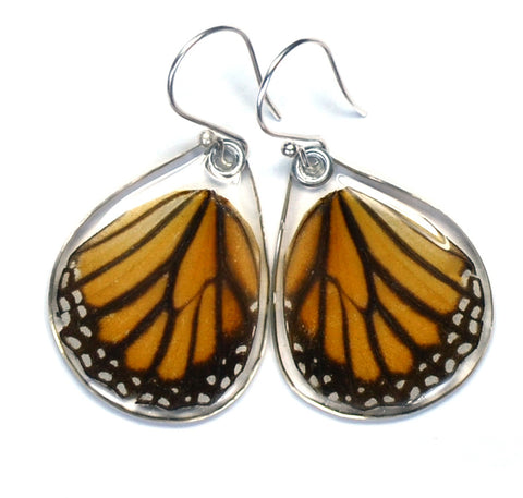 Butterfly earrings, Striped Tiger, bottom wings