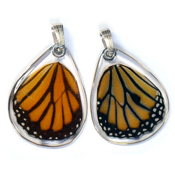 Butterfly wing pendant ONLY, Striped Tiger, bottom wing