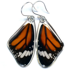 Butterfly earrings, Striped Tiger, top wings