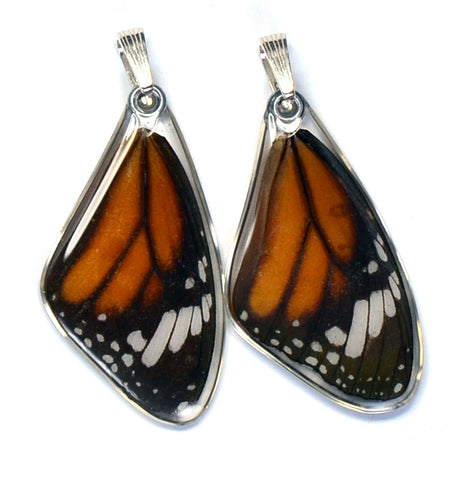 Butterfly wing pendant ONLY, Striped Tiger, top wing