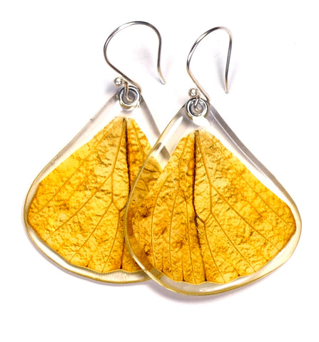 Butterfly earrings, Hebomoia Glaucippe, bottom wings